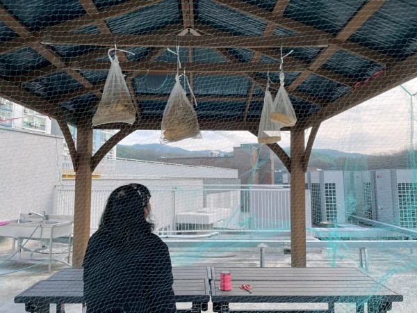 8e02e5b614118e443cdda6ff43092e73_1606443