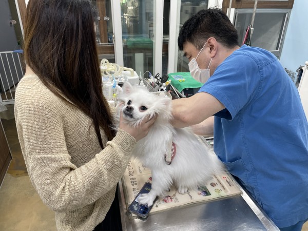 e1d5f25ad2c16f7110dfc1b0f2509f29_1626869