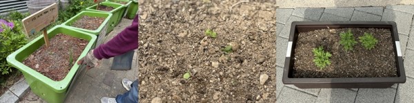 a574a1bb6ed28963159b627a7cca0f51_1776674